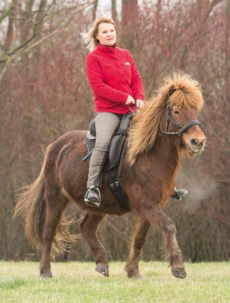 1 Barefoot Merlyn Innovativer Dressur- und Vielseitigkeitssattel, ideal für Kleinpferde oder kleinere Reiter durch das extrakurze Sattelblatt. Tipp: der Merlyn Sattel passt auch auf Großpferde!