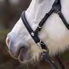 Die meisten gebisslosen Nasenriemen rutschen dennoch leider auf der Pferdenase/am Pferdekopf hin und her und machen eine genaue