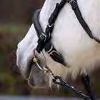 Um diesen Draht wird das Nasenstück geformt und kann somit an den jeweiligen Pferdekopf angepasst werden.