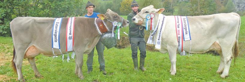 Freitag, 11. November 2016 Unser Ländle 17 Eiche, Reserve-Gesamtsiegerin + Reserve- in Egg. Besitzer: Georg Schneider, Egg; rechts: Nina, Gesamtsiegerin + in Egg. Besitzer: Gebr. Troy, Egg.