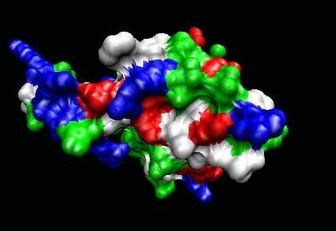 Strukturen GenBank NCBI Protein Database Swiss Prot (Uniprot) PDB PROSITE Prints