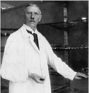Herz Lungen Maschine (HLM) Geschichte 1896 erste Herznaht Ludwig Rehn 1849 1930 Deutscher Chirurg (Frankfurt) Sein Patient war ein 22jähriger Gärtnergeselle, der am 6.