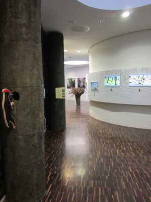 Ausstellungsraum ist einer Spechthöhle nachempfunden Fünfter Ausstellungsbereich