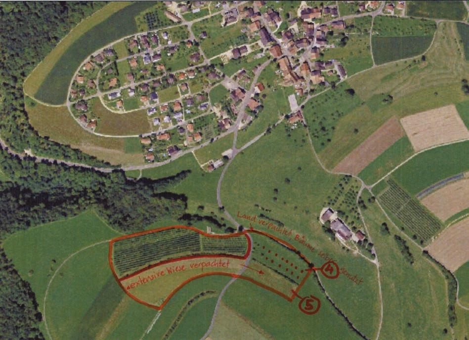 Nr. Typ Details 1 Obstgarten bestehende Hochstammbäume 1 Obstgarten neue Hochstammbäume setzen 2 Blumenwiese Neuansaat 3 Obstgarten 10 neue Hochstammbäume (bereits gepflanzt mit Tafeljura) 3