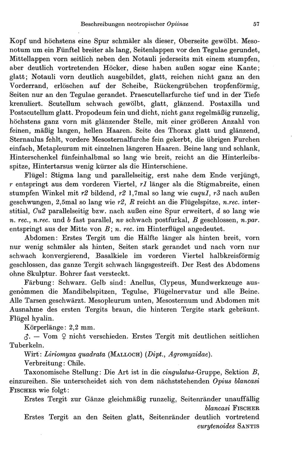 Beschreibungen neotropischer Opiinae 57 Kopf und höchstens eine Spur schmäler als dieser, Oberseite gewölbt.