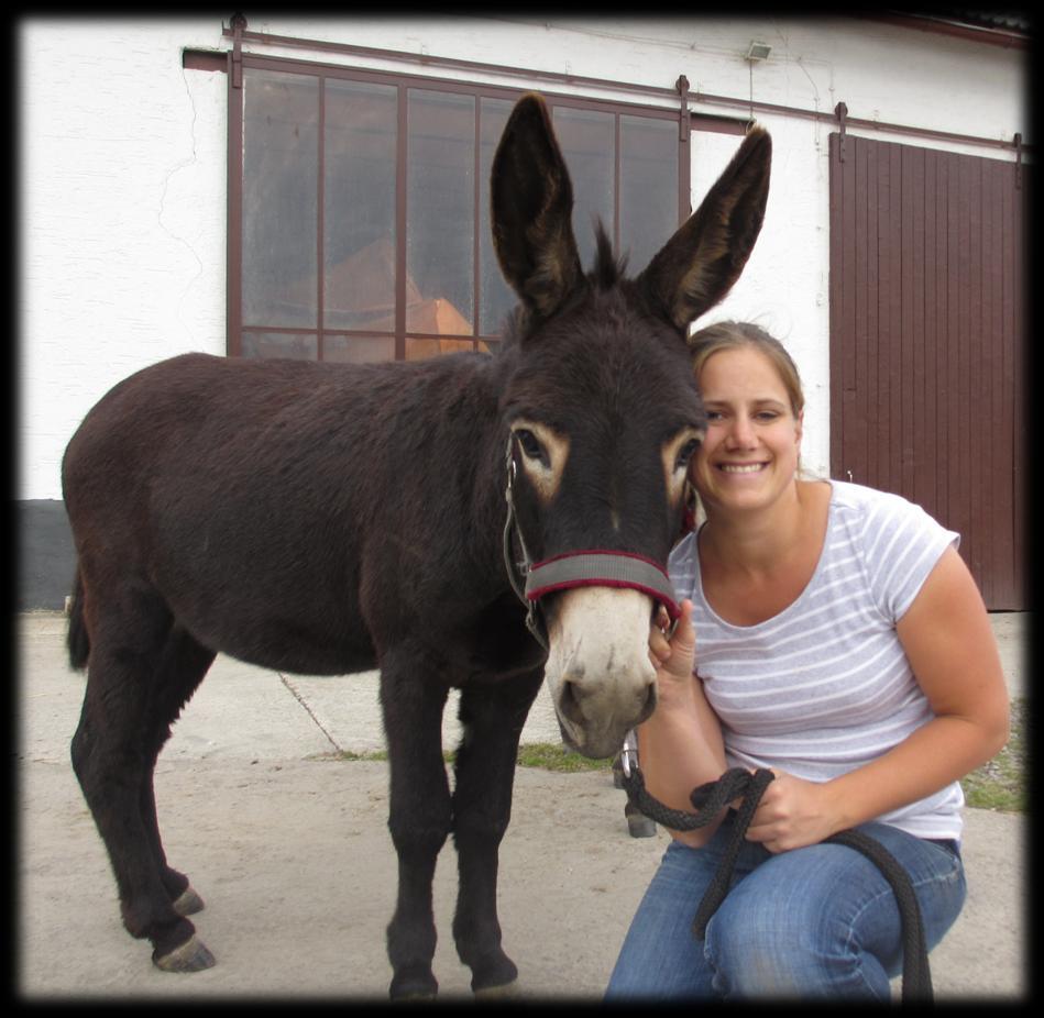 Unser Mitglied Katrin Mengel Hallo liebe Esel- und Mulifreunde, mein Name ist Katrin Mengel und ich werde in Zukunft die Noteselhilfe bei der Betreuung des Online-Shops unterstützen.