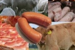 Warenkorb Frischfleisch, Fleisch- und Wurstwaren (Frischfleisch 48 %, Fleischwaren 24 %, Wurstwaren 28 %) Verarbeitung und Verteilung in CHF/kg VG Dez 15 Nov 16 Dez 16 %- 15 %- VM Einstandspreis 9 11.