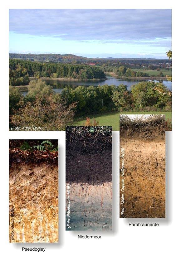 Ziele des Bodenschutzes: Böden in Ihrer Funktion zu erhalten für Menschen, Tiere, Pflanzen und Mikroorganismen als Bestandteil