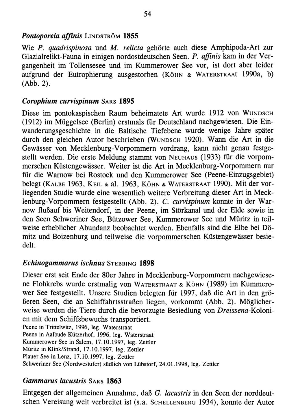 54 Pontoporeia affinis L i n d s t r ö m 1855 Wie P. quadrispinosa und M. relicta gehörte auch diese Amphipoda-Art zur Glazialrelikt-Fauna in einigen nordostdeutschen Seen. P. affinis kam in der Vergangenheit im Tollensesee und im Kummerower See vor, ist dort aber leider aufgrund der Eutrophierung ausgestorben (K ö h n & W a t e r s t r a a I 1990a, b) (Abb.
