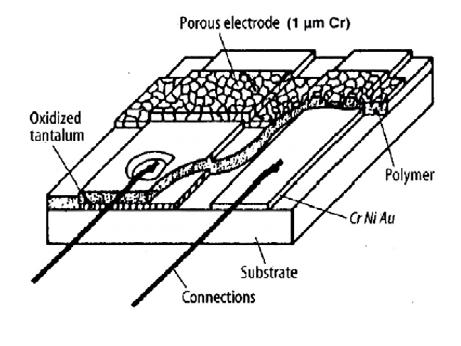 Im Bild ist ein Sensoraufbau mit einer 1 µm dicken Chromschicht als Gegenelektrode dargestellt.