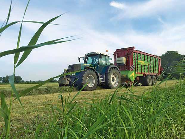 Landwirte schaffen mit Nahrungsmitteln und