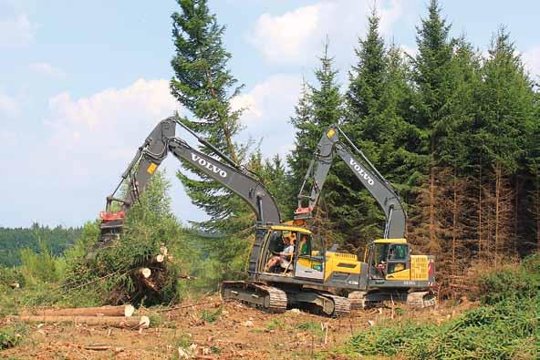 Hackschnitzel-/Energieholzhandel & -belieferung Contracting von Heizwerken