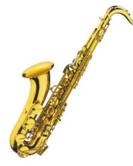 Voraussetzung: regelmäßige Teilnahme in der Concert-Band 1 oder regelmäßiger Saxophonunterricht 9.