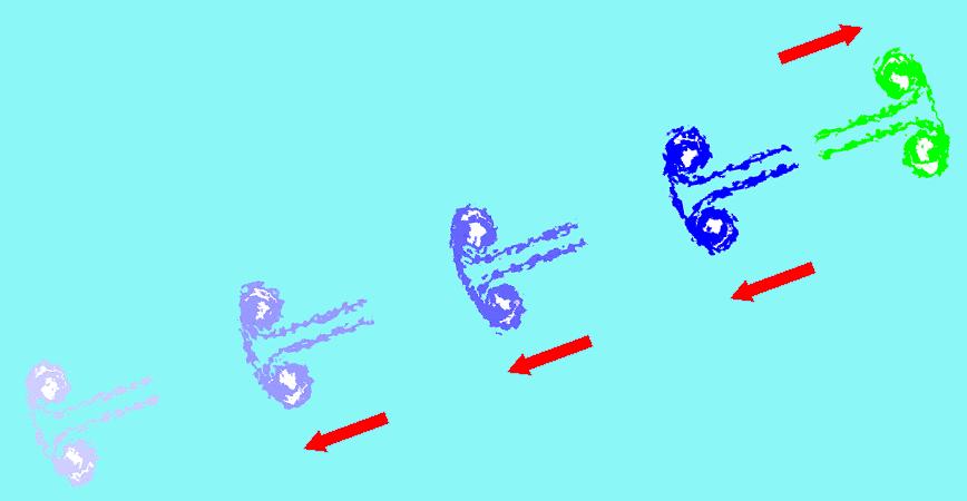 16 K.Bräuer: Die Grundgesetze der Physik Abbildung 9-1 Die Qualle rechts oben erzeugt bei der Fortbewegung im Wasser die Wirbel links unten. Diese entsprechen ziemlich genau ihrer eigenen Form.
