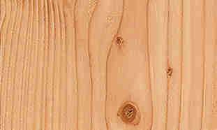 DIE HOLZARTEN SIBIRISCHE LÄRCHE Sibirische Lärche ist feinjährig gewachsen. Charakteristisch für das gelblich- bis rötlich-braune Holz sind ausgeprägte große Äste.