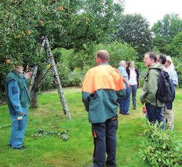 28 Berichte aus den Vereinen Apfelbaum vor und nach dem Sommerschnitt der Kolonie Rosenhain vorgeführt. Dieses Angebot war für unsere Gartenfreunde kostenlos.