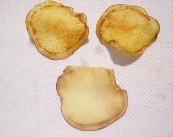 Kartoffelstolbur Nachweis der Widerstandsfähigkeit von Kartoffelsorten gegenüber Phytoplasmen 100% 80% 60% 40% 20% 0% Resistenzversuch 2007 Krankheitsbonitur im Bestand (03. + 20. Juli) 1.