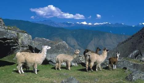 Tag 6: Cusco - Lares - Huacahuasi Frühmorgens Fahrt ins Heilige Tal über Calca zum Ort Lares. Vom Hualcapunco Pass (4.