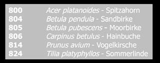 " 2 800 Acer platanoides - Spitzahorn 804 Betula pendula - Sandbirke 805 Betula pubescens - Moorbirke 806 Carpinus betulus - Hainbuche 814 Prunus avium - Vogelkirsche 824 Tilia platyphyllos -