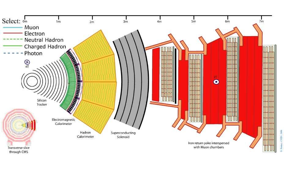 CMS-Detektor 29 Der Large Hadron