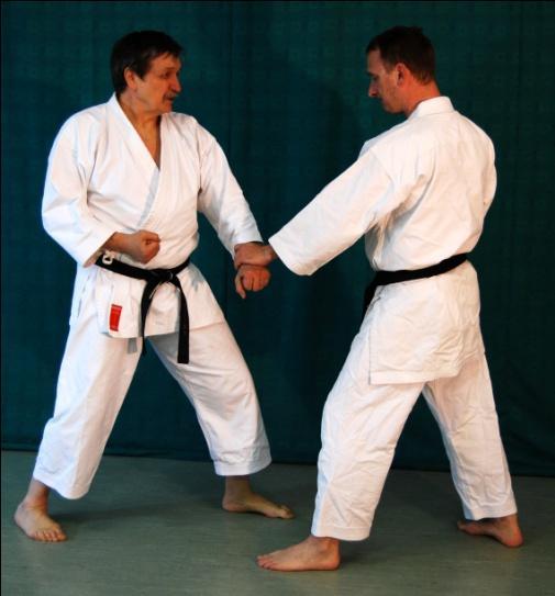13. Drill Drills In allen Selbstverteidigungsstilen gibt es verschiedene Varianten des Z- Griffs Auch in den Karatekata kommt er immer wieder mehr oder weniger versteckt vor.