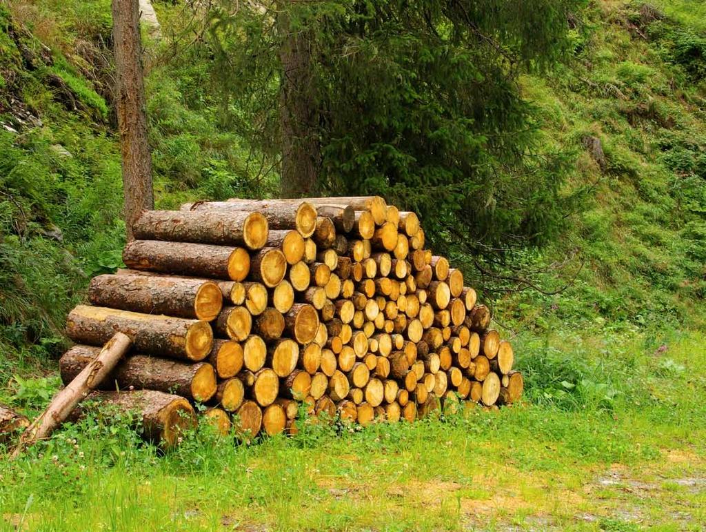 Brennholzspalter und Brennholzkreissägen Robuste Wippkreissägen für den Brennholzschnitt Leichtgängige Wippe dank optimalem Wippendrehpunkt