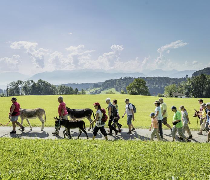 Dienstleistungen 9. Nationaler Wandertag der «Schweizer Familie», Familienwanderung Wald ZH, 10. September 2016 Zürioberland Tourismus Der Nationale Wandertag der «Schweizer Familie» am 10.