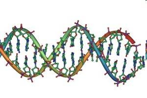 Veränderungen in der Krebszellen - Erbsubstanz DNA