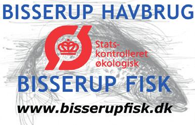 Bisserup Sea Fish Farm, the first Danish organic sea fish farm, got its organic certification in 2010 and after struggling through icy winters it is