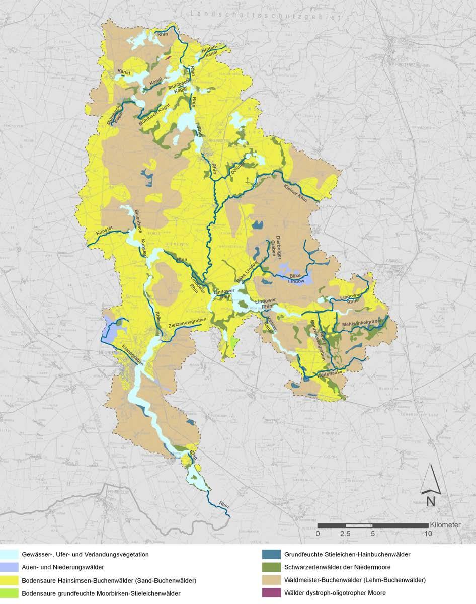 meister-buchenwäldern und Schwarzerlenwäldern der Niedermoore. Letztere würden sich hauptsächlich entlang der Gewässerniederungen etablieren.