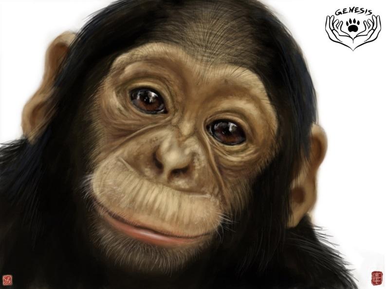 Deutschunterricht Im JÖ-Heft nach Tieren suchen 1. Klasse NMS Anja meldet sich unaufgefordert zu Wort und ruft: Ich liebe Affen, die sind so süß!