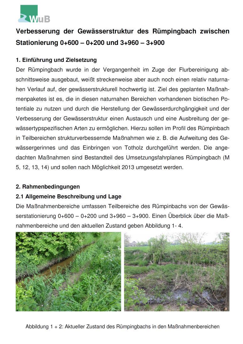 Ökologische Aufwertung Rümpingbach, Umsetzung: WuB