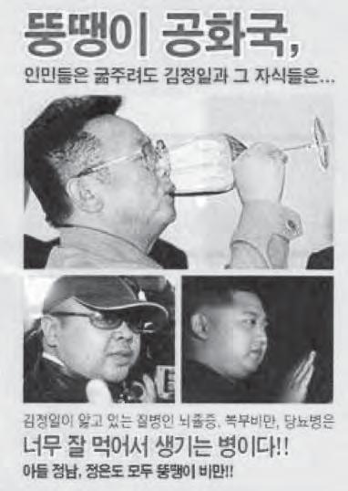 600 000 Flugblätter über Nord-Korea Die Hauptwaffe der nordkoreanischen Flüchtlingsgruppen in Süd-Korea, welche die kommunistische Diktatur in ihrer bisherigen Heimat bekämpfen, sind neben illegalen