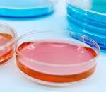 Vorteile: Sicheres und reproduzierbares Inkubieren Desinfektionsroutine