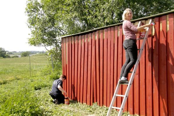 Bildtext 2 Auf dem Tierschutzhof in Klein Sien/Mecklenburg-Vorpommern trotzen die mit der von Consolan gespendeten Wetterschutz-Farbe gestrichenen Gebäude nun wieder bis zu zehn Jahre allen Wettern.