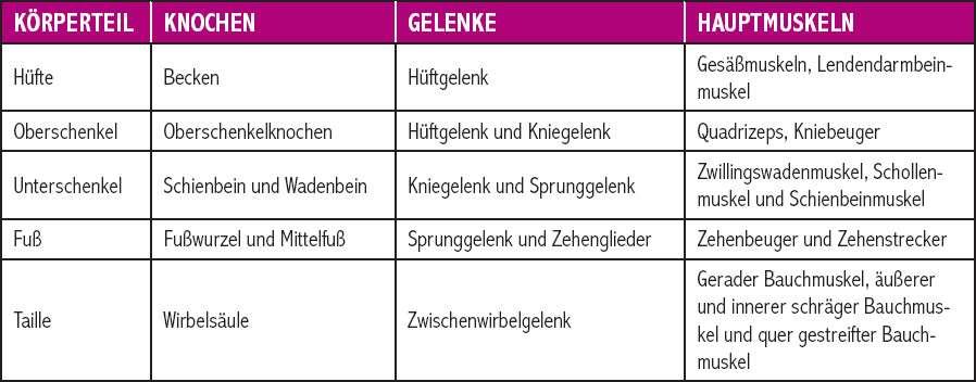 Fußqualitäten für einen gesunden Gang Sensomotorik: Zusammenspiel von sensorischen und motorischen Leistungen Rückmeldung