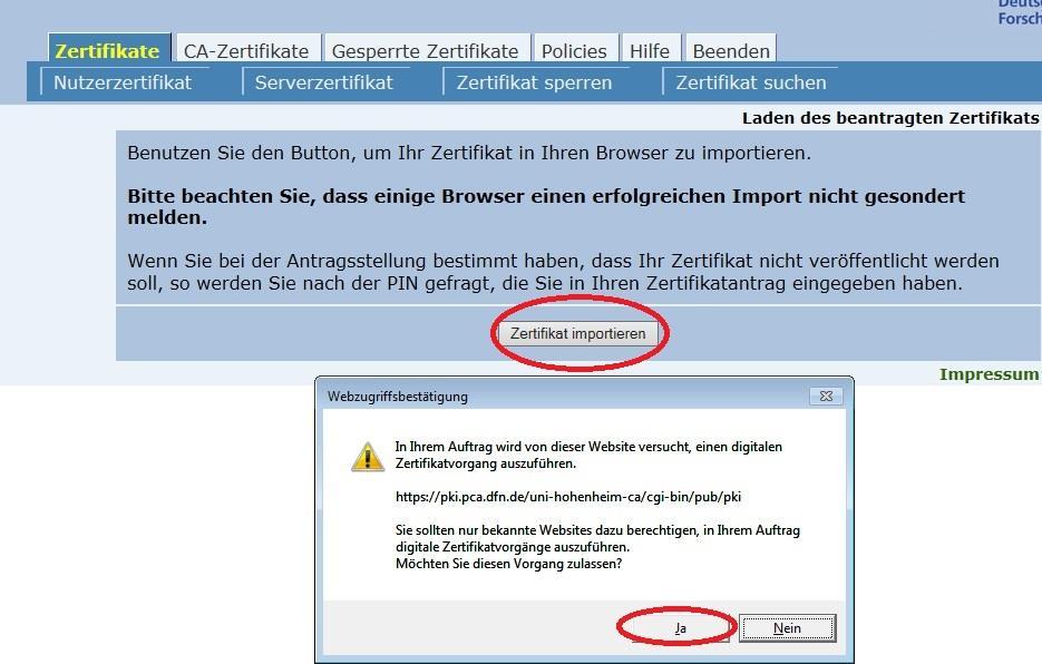 die Adressleiste des Internet Explorer 6.