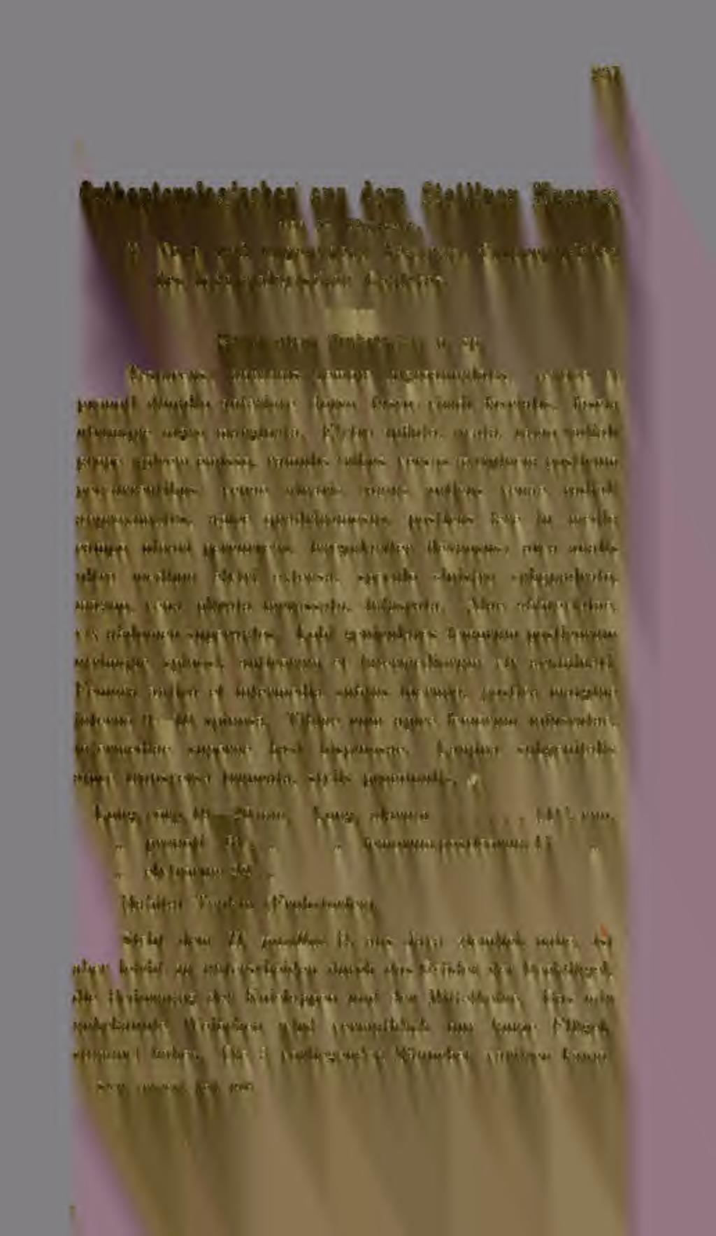 237 Orthopterologisches aus dem Stettiner Museum von 91. Holt 1*11. I. Neue und ungenügend bekannte Conoceplialiden des indo-malayischen Gebietes. Hexacentrus Fruhstorferi n. sp.
