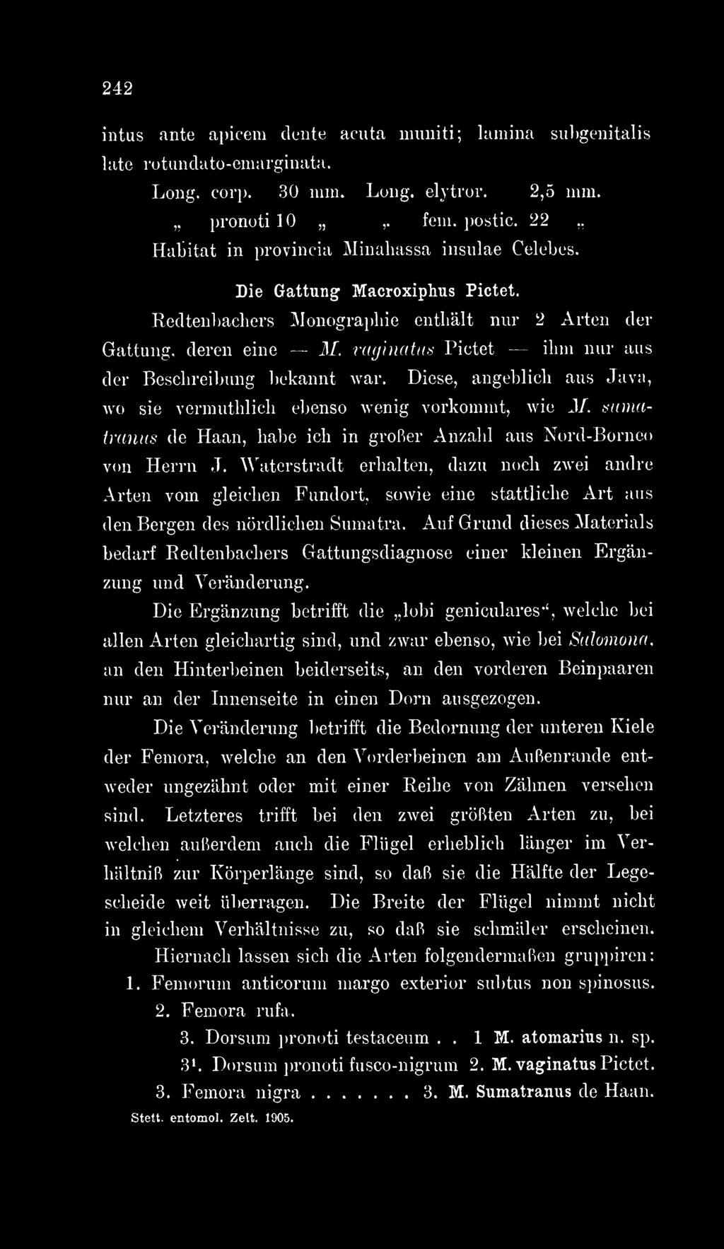 Recltenbachers Monographie enthält nur 2 Arten der Gattung, deren eine M. raginatus Pictet ihui nur aus der Beschreibung l)ekannt war.