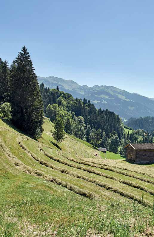 Schlussworte Naturnahe Landwirtschaft ein zukunftsweisender Weg Unsere Heumilchbauern kümmern sich im Durchschnitt um zehn Kühe, von denen sie nicht nur alle Namen kennen, sondern auch den Charakter