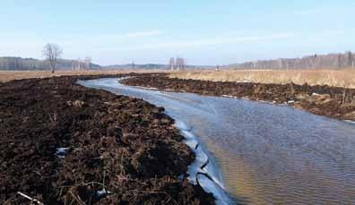 Bija jāveic izmaiņas tehniskajā projektā, lai upes atjaunotā gultne neskartu problemātisko zemes gabalu. Foto: Edmunds Račinskis.