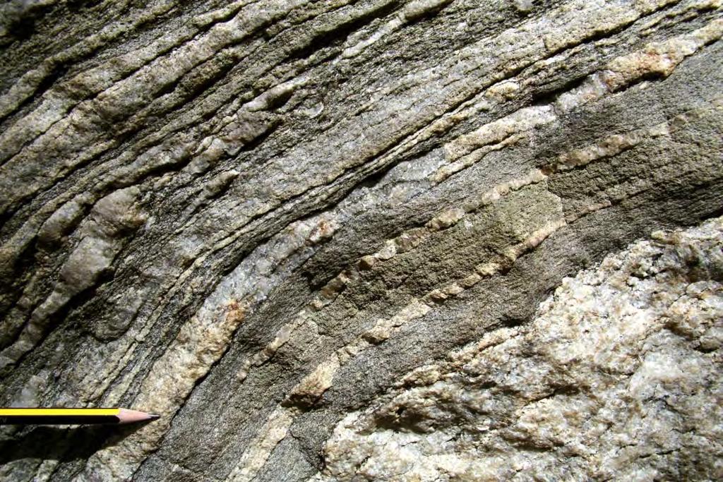 Haunoldstein, nördlich Pielachhäuser aufgeschlossen. Neben Biotit ist bei diesem hellen Granitgneis Granat auffällig.