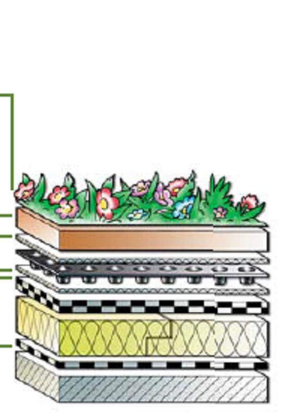 Structuri de acoperisuri gradina Acoperis gradina cu vegetatie extensiva Aplicare Materiale Plantele sadite pot fi completate cu ierburi decorative sau aromatice Substrat Strat drenant, filtrant