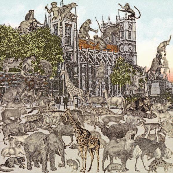 LONDON: WESTMINSTER ABBEY ANIMALIA 2012 Collage auf Papier, 50 x