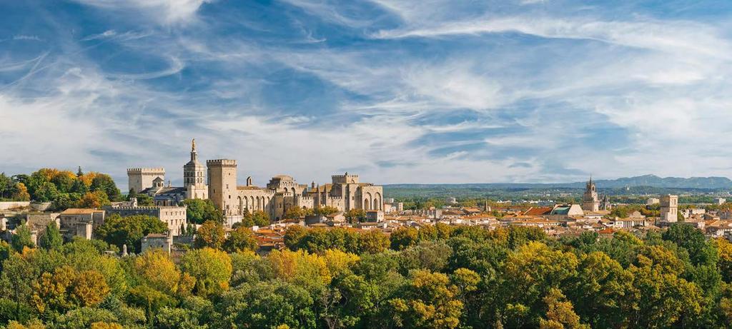 Blick über Avignon Lyon - Chalon-sur-Saône - Vienne - Chateauneuf-du-Pape - Arles - Avignon - Chateauneuf-du-Rhône - Le Pouzin - Tain l Hermitage - Lyon Leben wie Gott in Frankreich diese