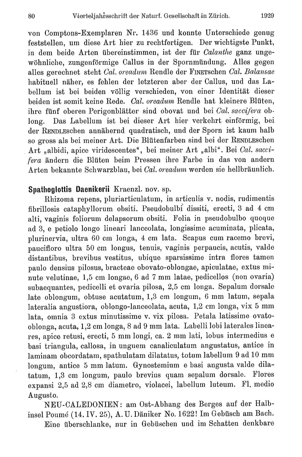 80 Viertelja1i sschrift der Naturf. Gesellisohaftin Zürich. 1929 von Comptons-Exemplaren Nr. 1436 und konnte Unterschiede genug feststellen, um diese Art hier zu rechtfertigen.