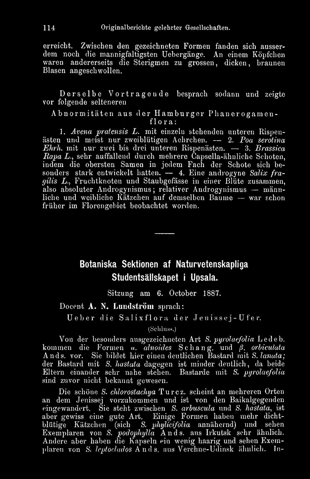 Derselbe Vortragende besprach sodann und zeigte vor folgende selteneren Abnormitäten aus der Hamburger Phanerogamenflora: 1. Avena 'pratensis L.