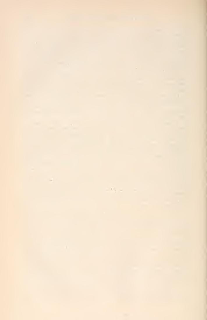 118 Originalberichte gelehrter Gesellschaften. Desmazieres' Exsiccat. No 1786 gegeben hat wie dies übrigeus auch Cooke in Handbook of British Fungi. II. p. 905 anführt.