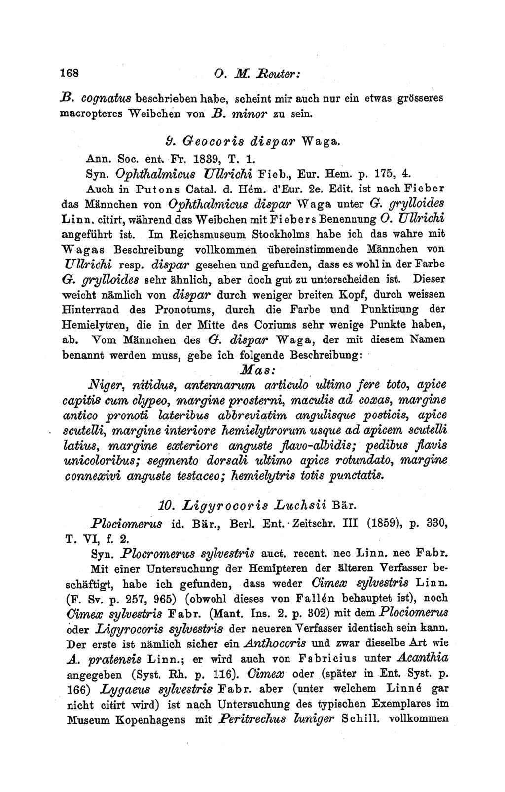168 0. M. ReBter: B. cognatus besebriebeni habe, scheint mir auch nur ein etwas gr6sseres macropteres Weibehen von B. minor zu sein. &. Geocoris dispar Waga. Ann. Soc. ent. Fr. 1839, T. 1. Syn.