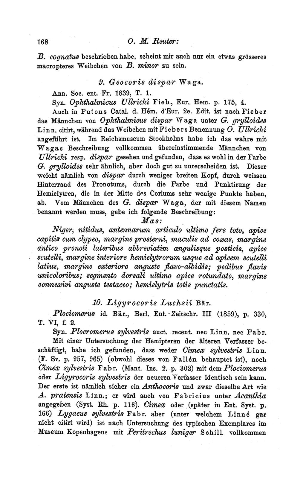 168 O. M. Beuster: B. cognatus beschriebeii habe, scheint mir auch nur ein etwas gr6sseres macropteres Weibehen von B. minor zu sein. 9. Geocoris dispar Waga. Ann. Soc. ent. Fr. 1839, T. 1. Syn.